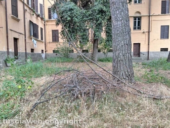 Il parco tra via Vanni e via del Massaro
