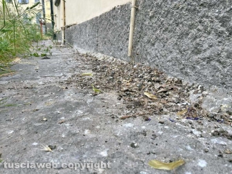 Il parco tra via Vanni e via del Massaro