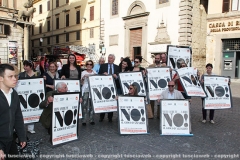 Viterbo - Il pastore tedesco orso scende dalla torre
