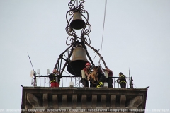 Viterbo - Il pastore tedesco orso scende dalla torre