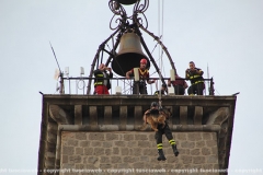 Viterbo - Il pastore tedesco orso scende dalla torre