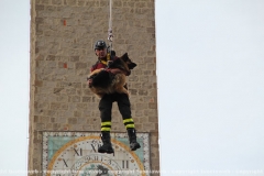 Viterbo - Il pastore tedesco orso scende dalla torre