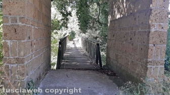 Il ponte