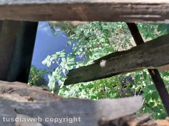 Il ponte