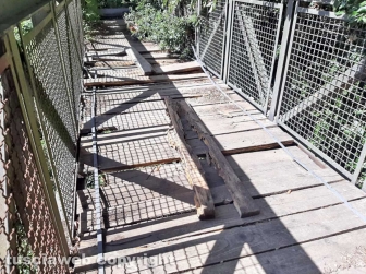 Il ponte