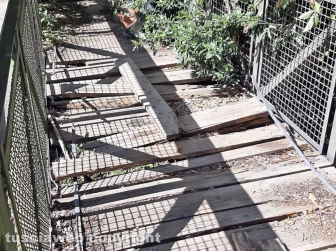 Il ponte