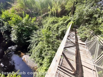 Il ponte