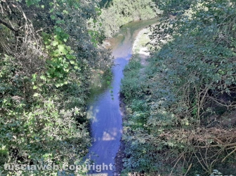 Il ponte