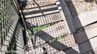 Il ponte