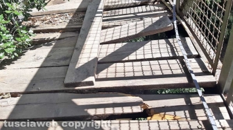 Il ponte