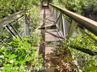 Il ponte