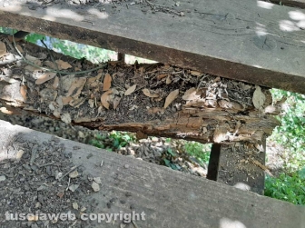 Il ponte