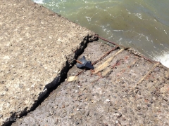 Il pontile a rischio crollo a Pescia Romana
