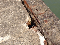 Il pontile a rischio crollo a Pescia Romana
