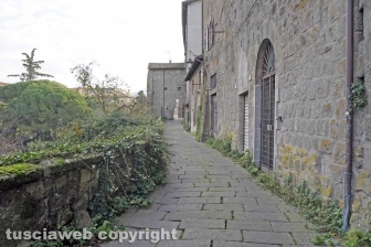 Il presepe di Via delle Caprarecce