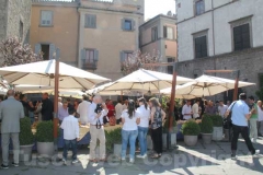 L\'inaugurazione del Caffè delle arti