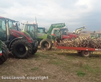 Gli agricoltori della Tuscia arrivati a Roma