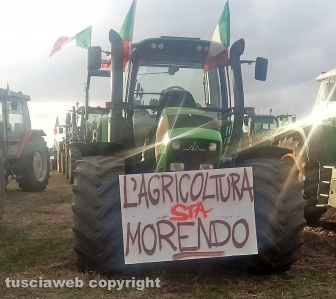 Gli agricoltori della Tuscia arrivati a Roma