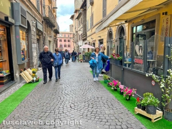 WhatsApp-Image-2023-05-01-at-18.29.41