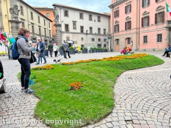 WhatsApp-Image-2023-05-01-at-18.29.44-2