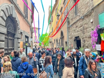 WhatsApp-Image-2023-05-01-at-18.29.54