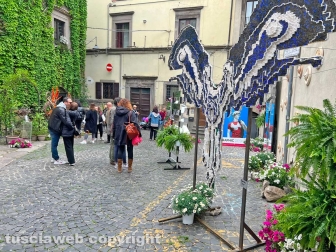 WhatsApp-Image-2023-05-01-at-18.30.06