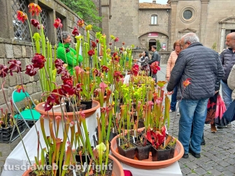 WhatsApp-Image-2023-05-01-at-18.30.18