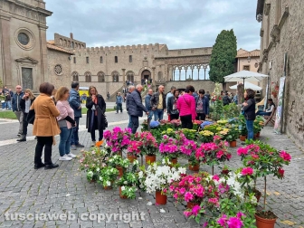 WhatsApp-Image-2023-05-01-at-18.30.21