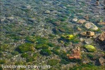 Tarquinia lido - Il primo weekend senza autocertificazione - Porto Clementino