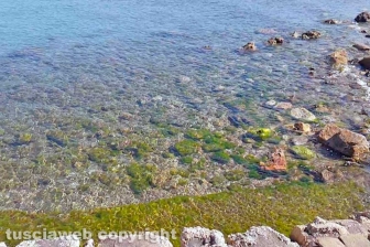 Tarquinia lido - Il primo weekend senza autocertificazione - Porto Clementino