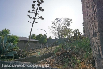 DSC02965