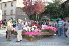San Pellegrino in fiore