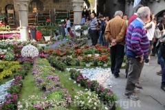 San Pellegrino in fiore