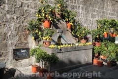 San Pellegrino in fiore