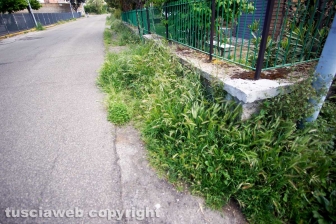 Il quartiere Pilastro
