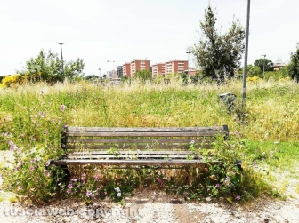Il quartiere Pilastro