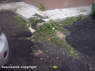 Il quartiere Pilastro nel degrado