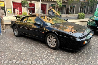 Motori - Il raduno "Auto in divisa"