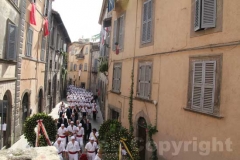 Un momento del giro delle sette chiese