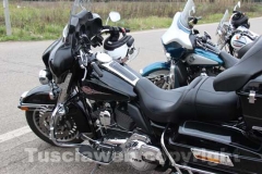 Il raduno delle Harley Davidson