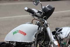 Il raduno delle Harley Davidson