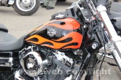 Il raduno delle Harley Davidson