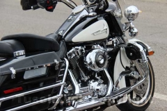 Il raduno delle Harley Davidson