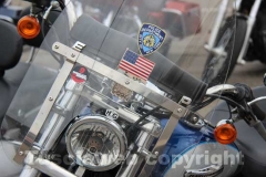 Il raduno delle Harley Davidson