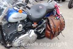 Il raduno delle Harley Davidson