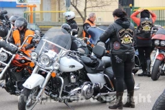 Il raduno delle Harley Davidson