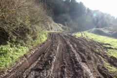 Tuscania - Il recupero dell\'elicottero precipitato