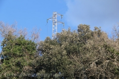 Tuscania - Il recupero dell\'elicottero precipitato - Il traliccio e il cavo elettrico tranciato
