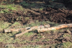 Tuscania - Il recupero dell\'elicottero precipitato