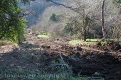 Tuscania - La boscaglia dove è precipitato l\'elicottero